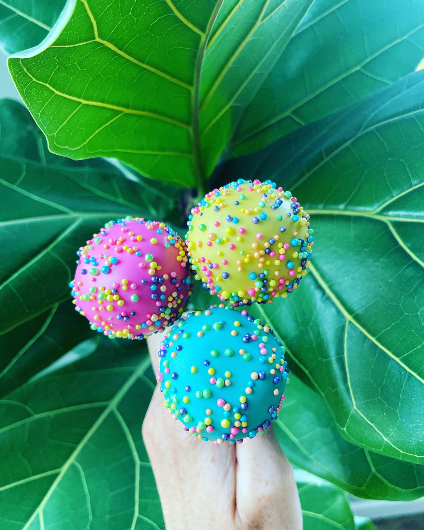 Cake Pops Individually Wrapped